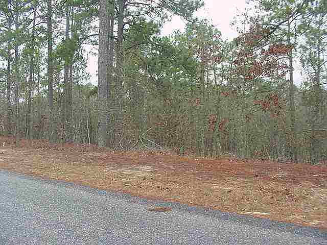 1st image of TBD Minikahada Trail LOT 34