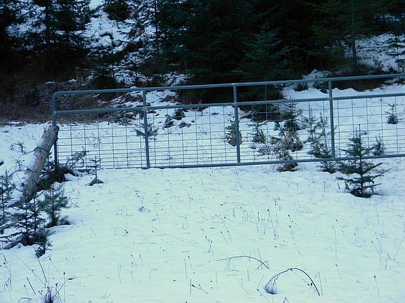 3rd image of Nka Bennett Ln