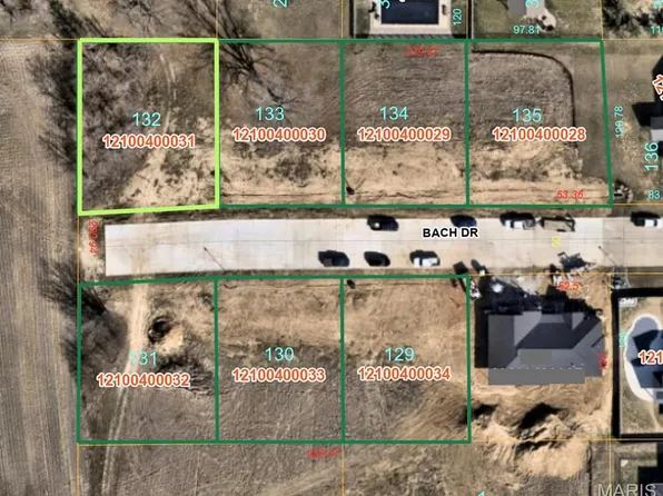 901 Bach Dr, Millstadt, IL 62260