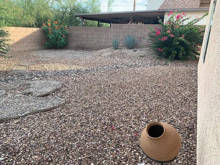 nice backyard
