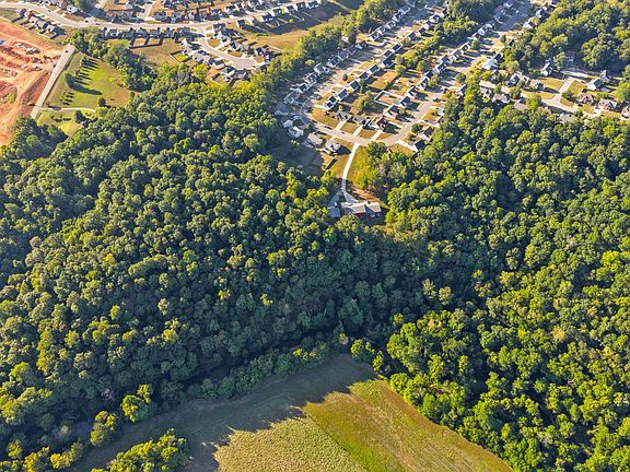 81st image of this home