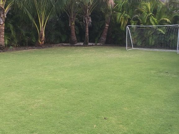 huge yard