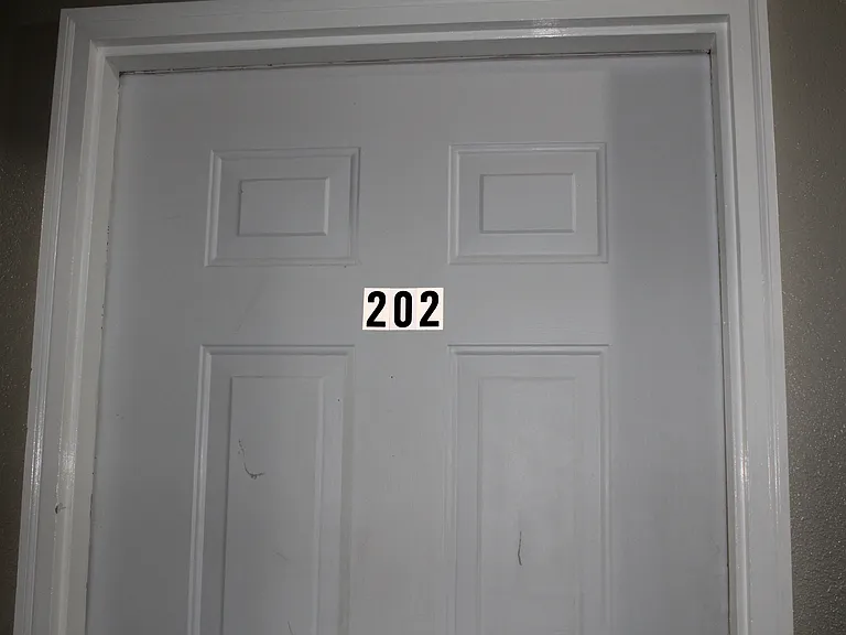 Apt 202 - 01_11192019