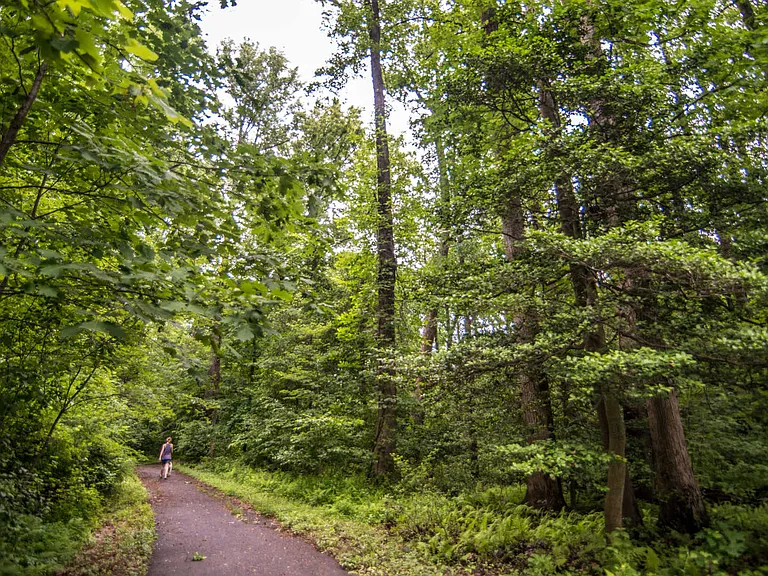 Walking and Hiking Trails at Great Falls National Park