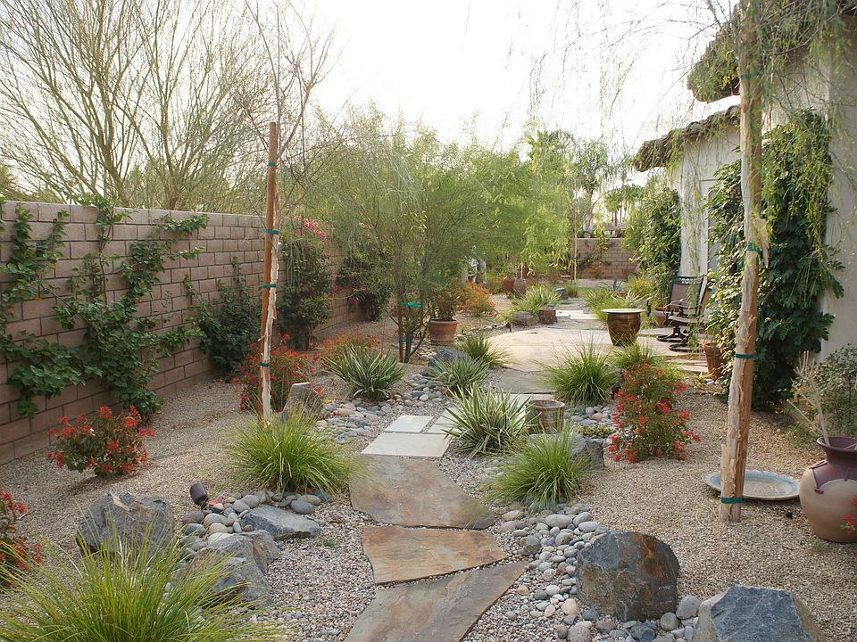 Tranquil desert backyard