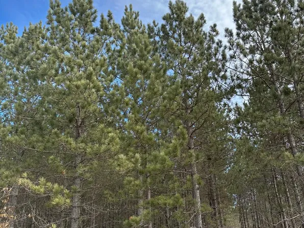 On Cth Y Tract #2046, Tomahawk, WI 54487