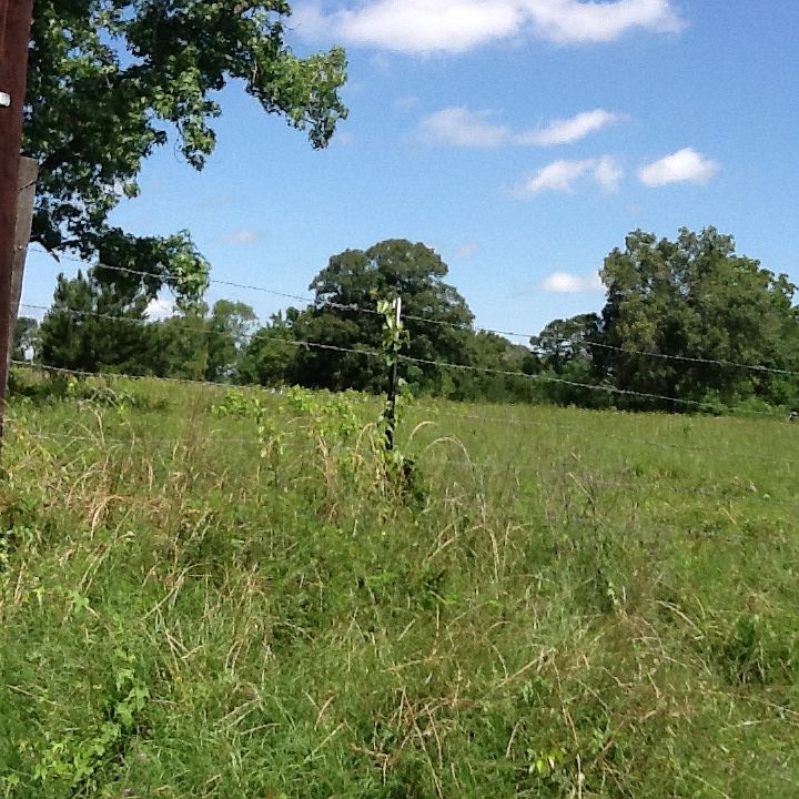 1st image of FM 1374
