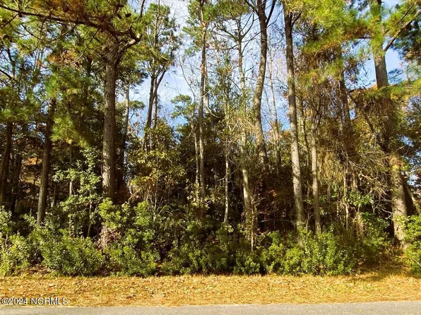 610 Saw Grass Road, Hampstead, NC 28443
