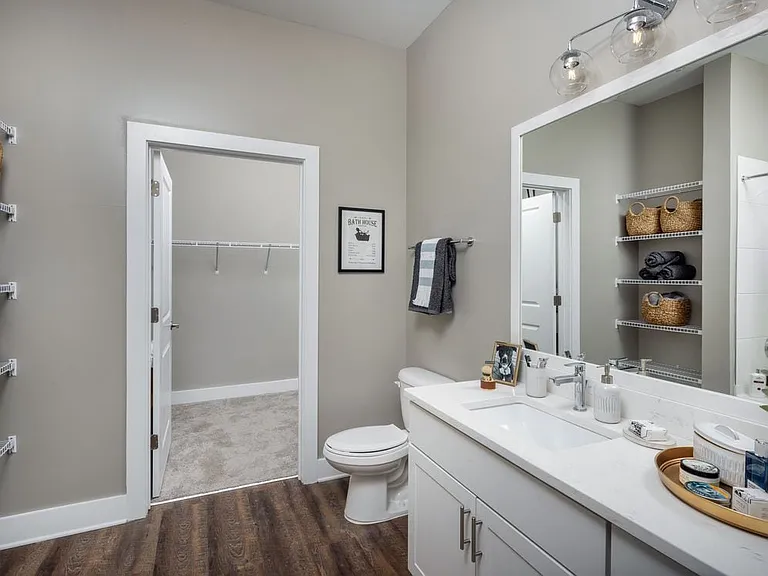 Scheme 2 Bathroom and Walk-in Closet