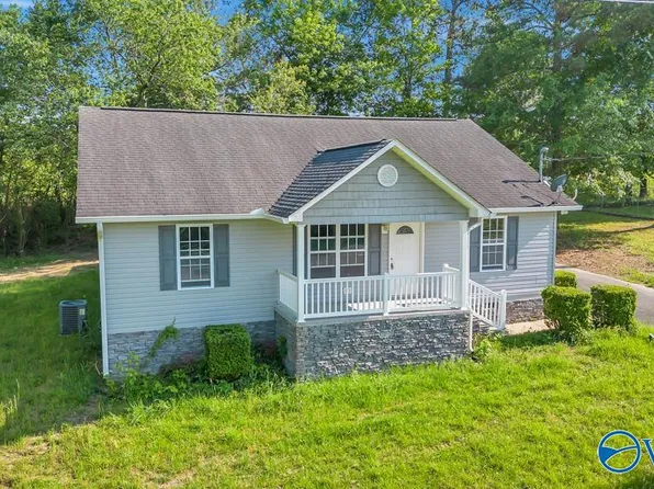 160 Denham Creek Dr, Fyffe, AL 35971