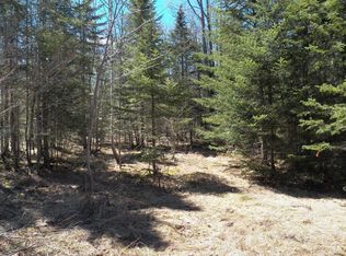 65 Thearn Rd, Greenville, ME 04441