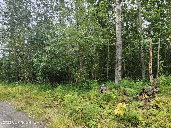 5130 E Iroquois Ct, Wasilla, AK 99654