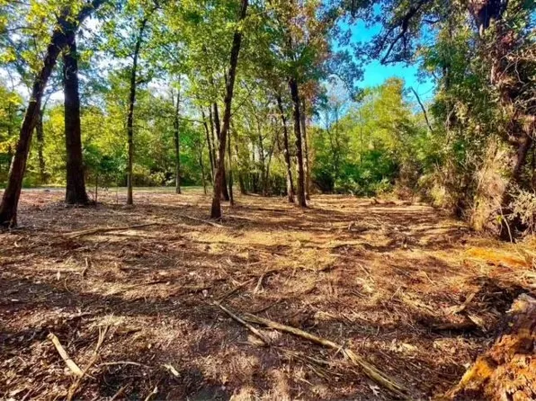 County Road 2600, Pittsburg, TX 75686