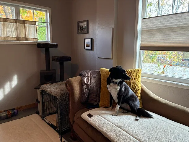 Studio, 900 sqft, $1,495 — Photo 4