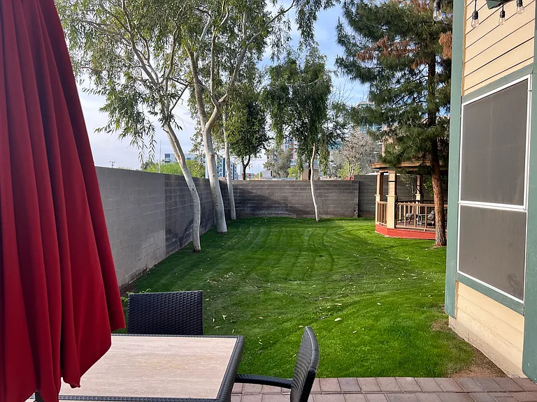 Back yard