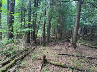 L36114 Tange Rd, Northville, NY 12134