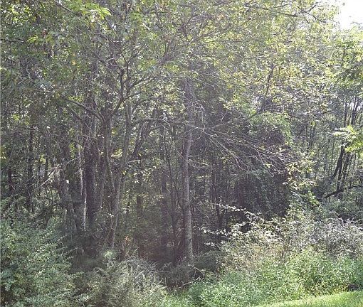 5th image of Lot #2 Riverwalk Drive