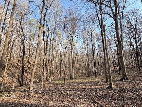 38th image of this home