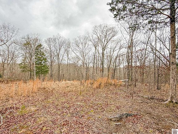 5th image of Haynes Cemetery Rd