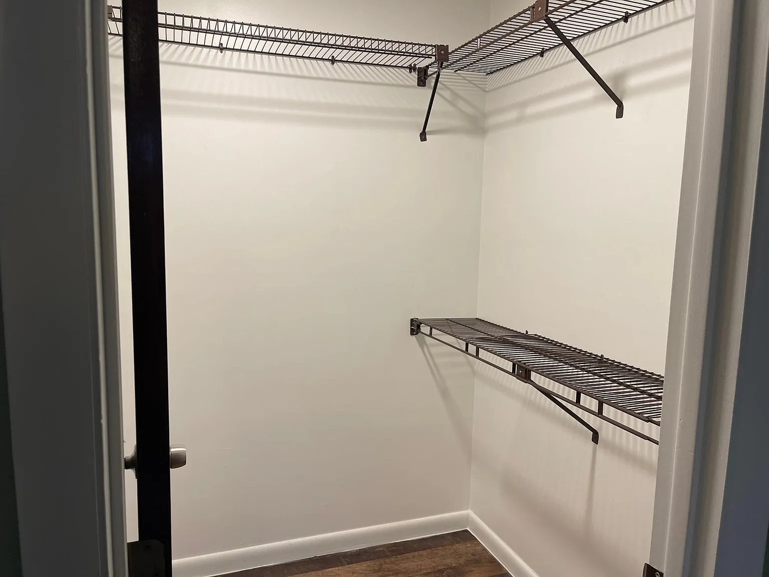 2 bed, 985 sqft, $1,495 — Photo 2