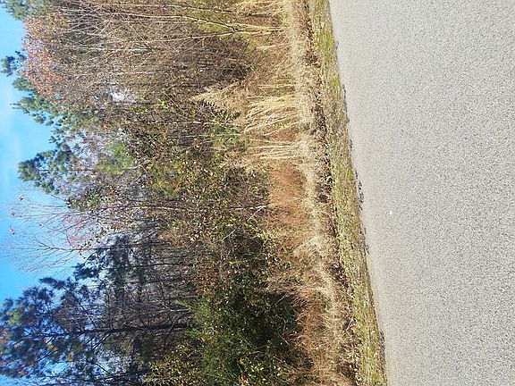 4th image of 0 Canoe Creek