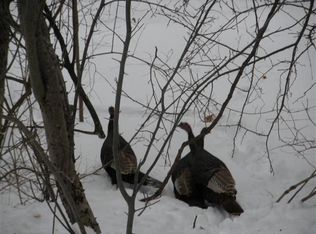 376 Spear Cemetery Rd, Reading, VT 05062