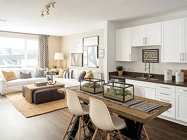 446d007015321214b80537c1a10336