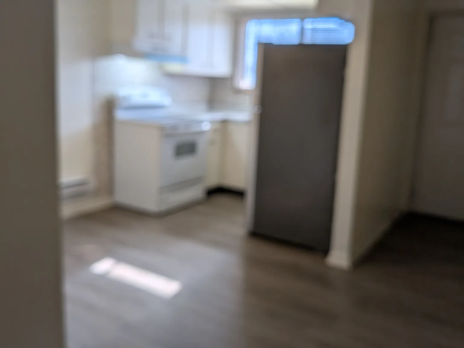 2 bed, 850 sqft, $1,650 — Photo 1