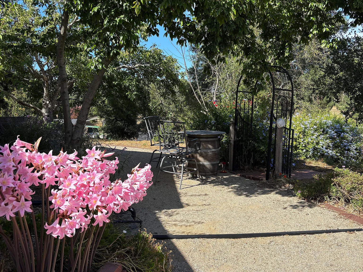 1 bed, 1100 sqft, $2,950 — Photo 4