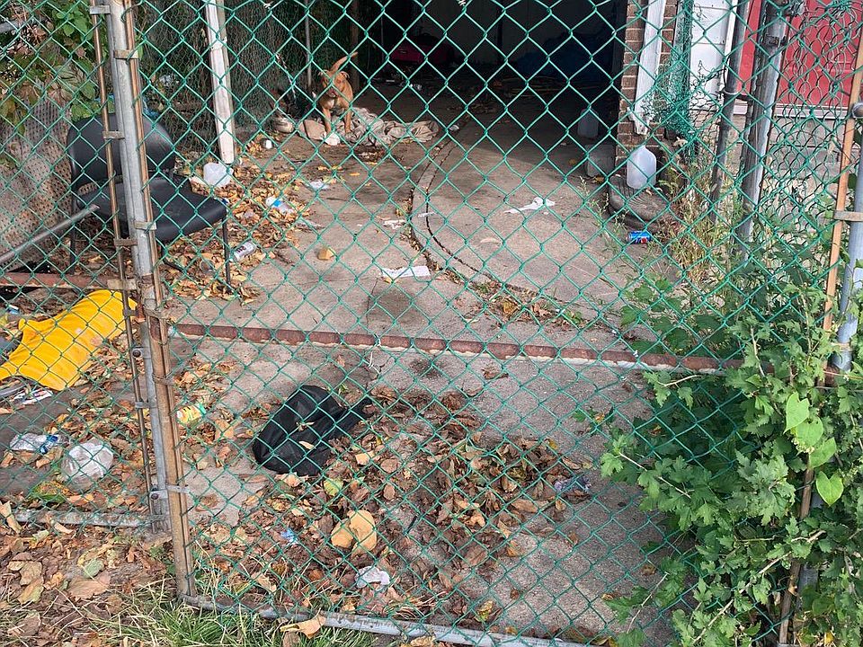 2nd image of 223 60th St