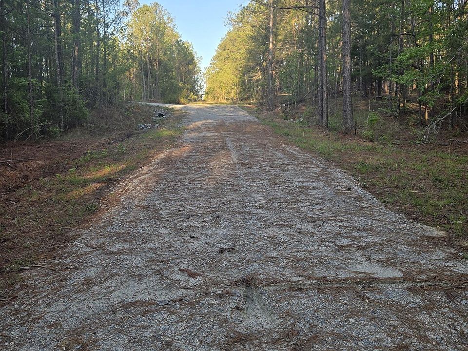 2nd image of 12 Sweetgum Drive