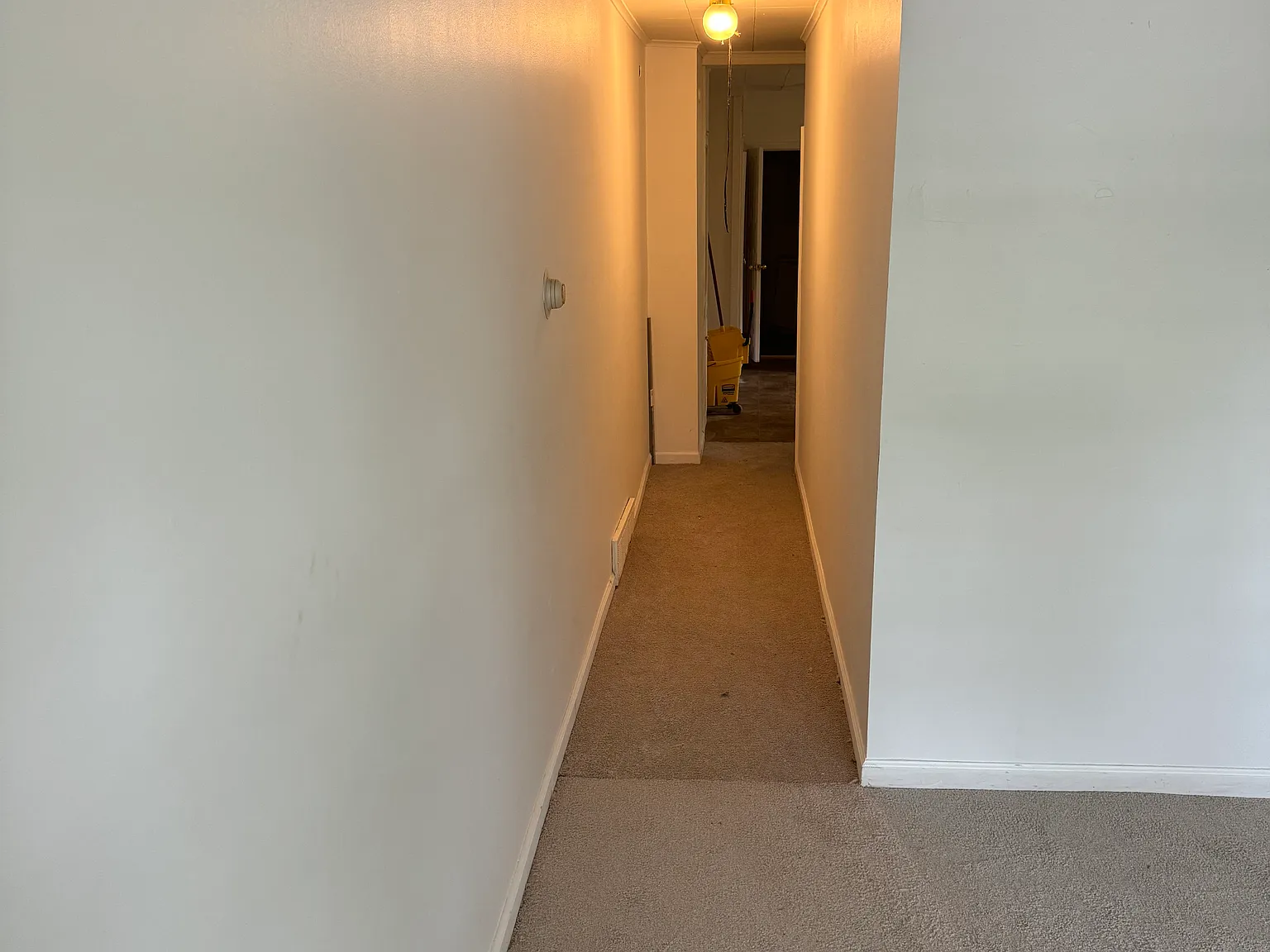 1 bed, $1,200 — Photo 4