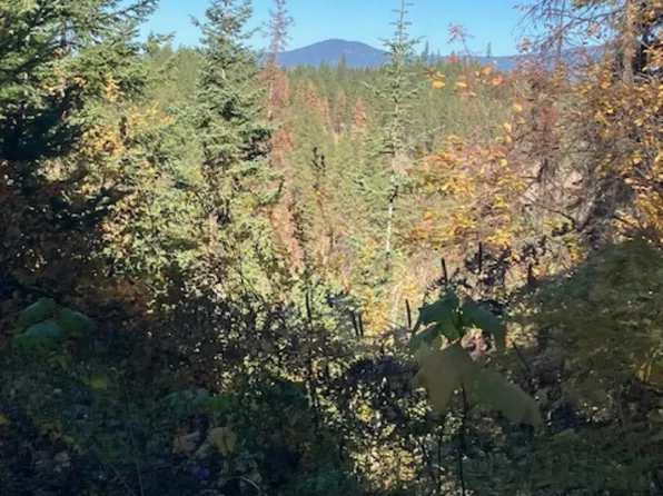 Glacier Dr, Saint Maries, ID 83861