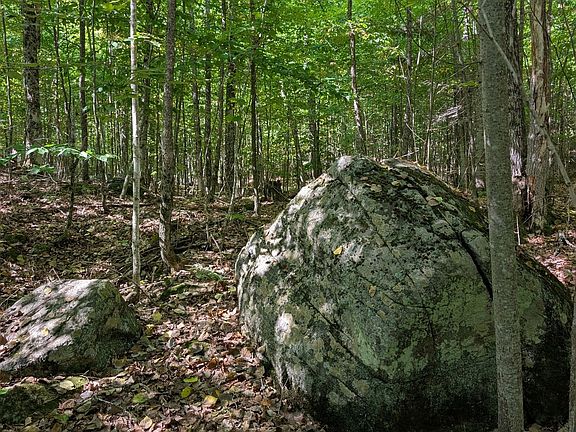 3rd image of 0 Kamaniskeg Lake Rd