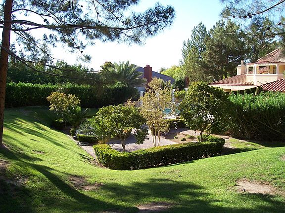Back Yard View 3