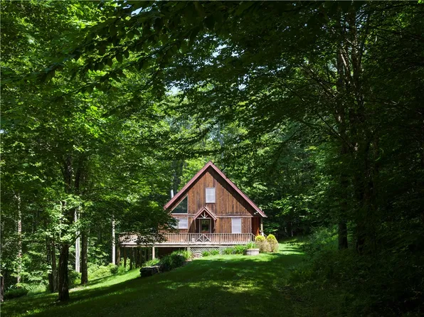 165 Alpine Dr, Bovina Center, NY 13740