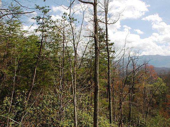 5th image of Mountain Dr