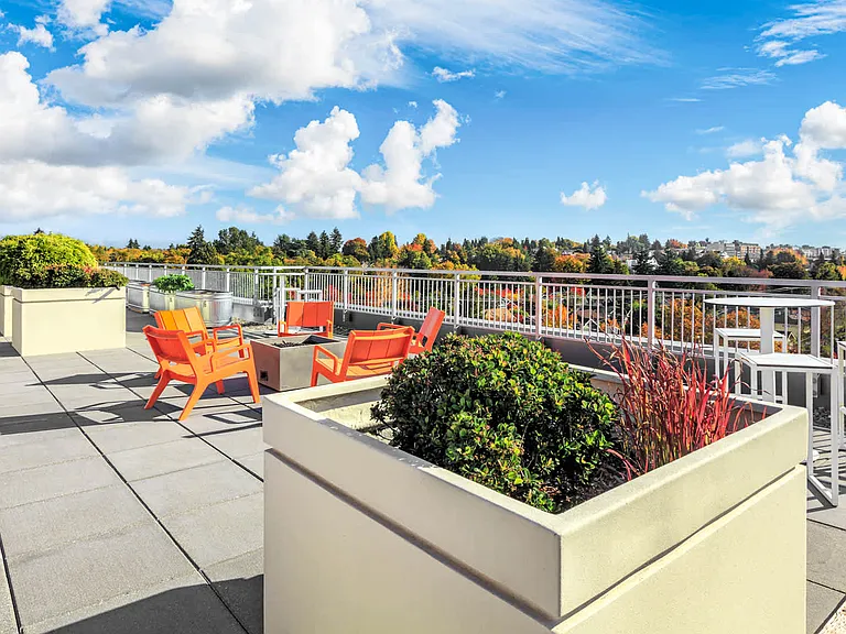 Rooftop Deck
