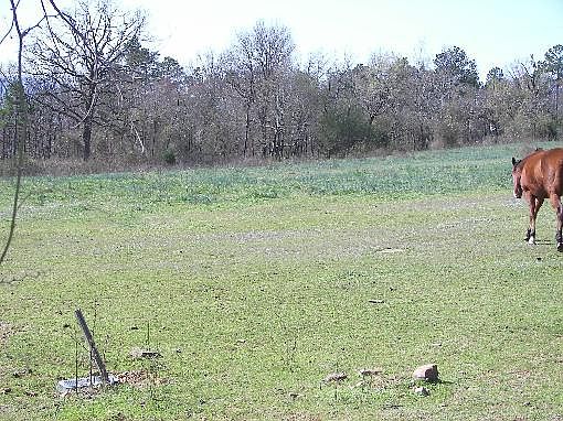 4th image of 8566 Highway 71 S