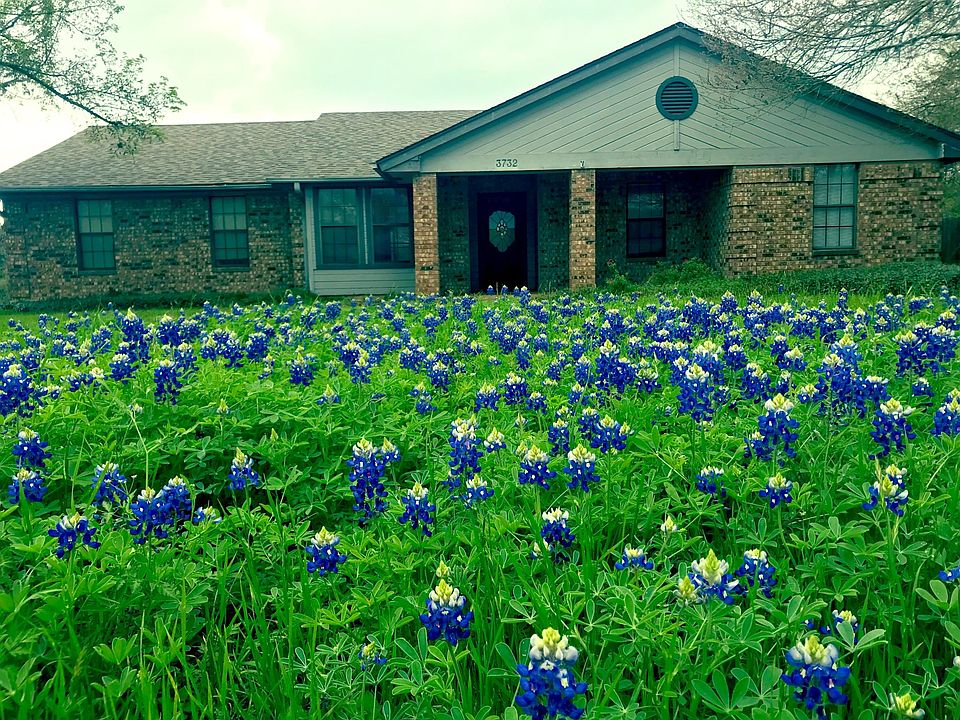 Front of House w/bluebonnets every Spring