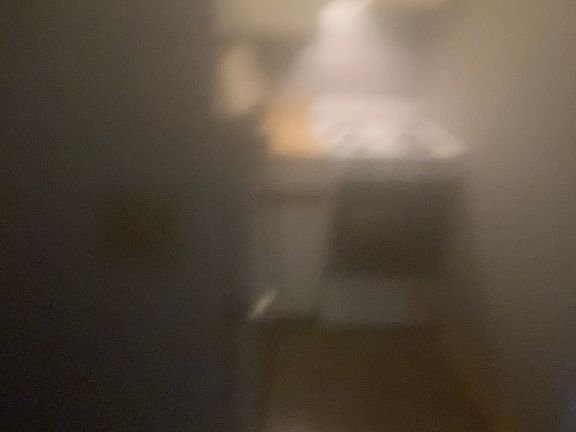 3rd image of 245 Delaware St APT 104