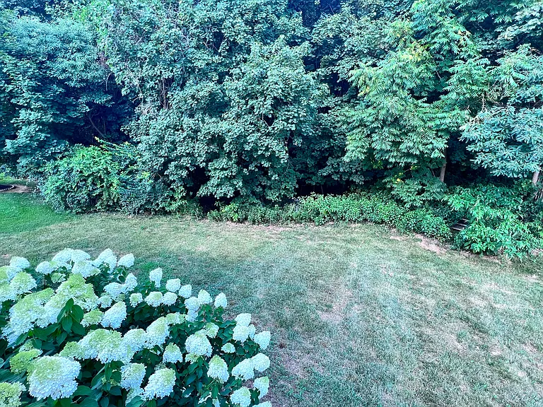 213 Woodcreek Rd — Photo 29