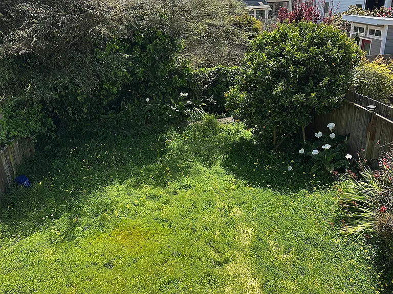 529 Flood Ave — Photo 9