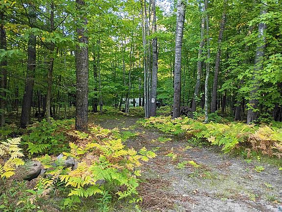 3rd image of 14343 Eagles Ridge Rd