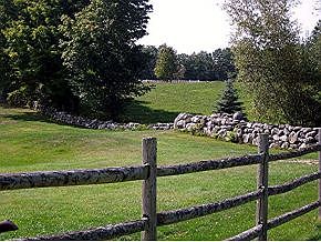 Back Property Rock Walls