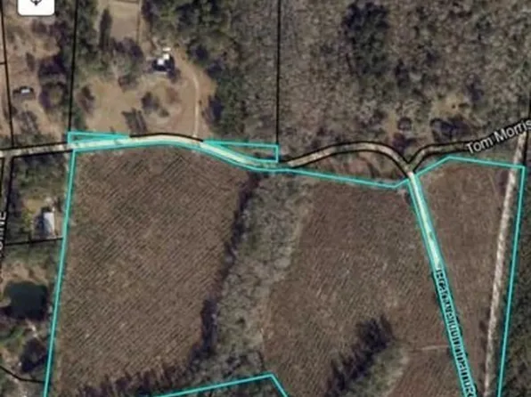 1 Bradwell Dunham Road, Ludowici, GA 31316