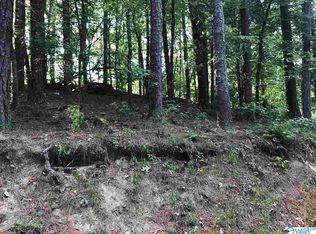 130 Camp Ney A Ti Rd, Guntersville, AL 35976