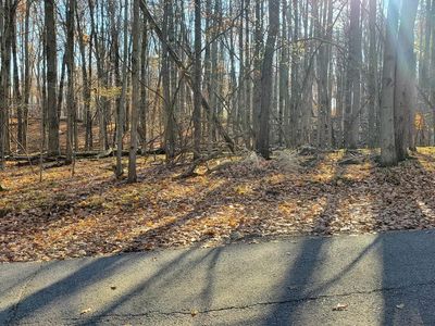 9815 Lost Canyon Dr #690, Stanwood, MI, 49346