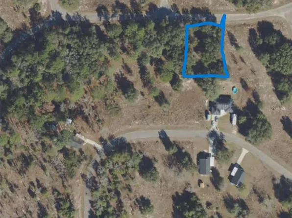 Guava Ter Lot 22, Ocklawaha, FL 32179