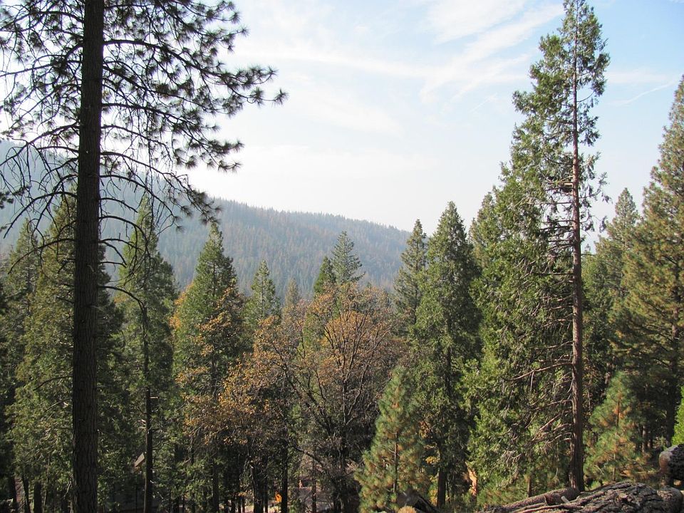 2nd image of 7343 Yosemite Park Way